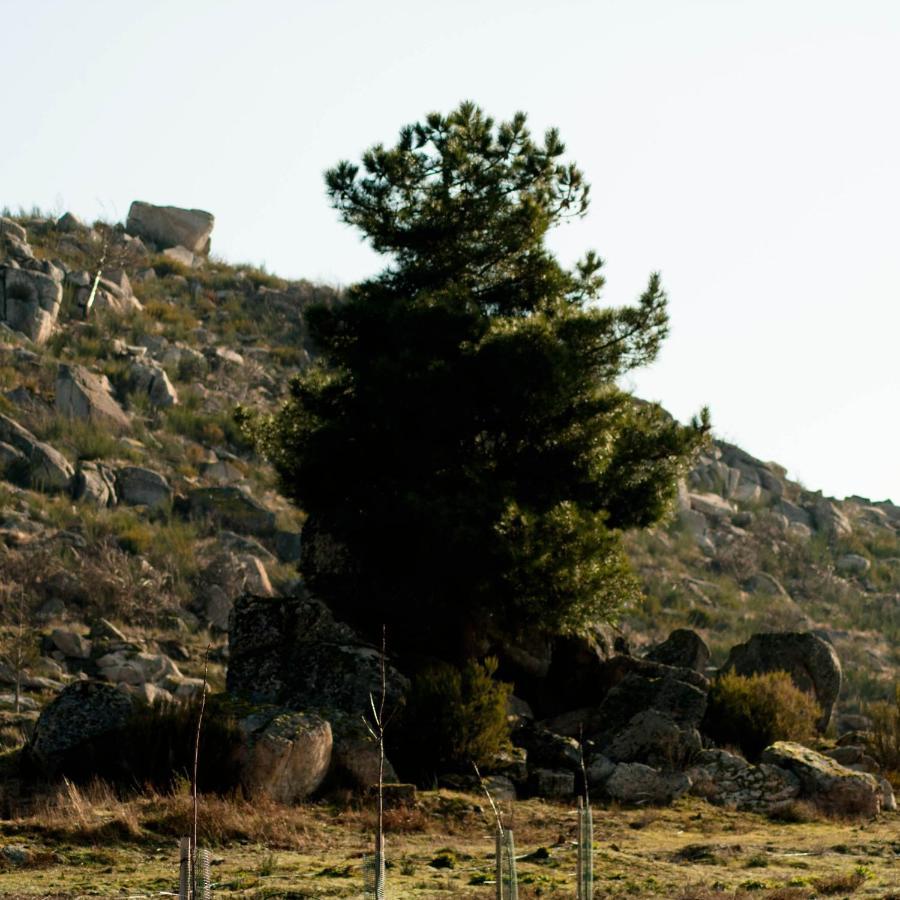 فيلا Quinta Do Chaozinho Alijó المظهر الخارجي الصورة
