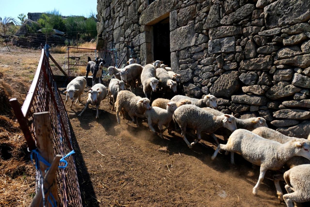 فيلا Quinta Do Chaozinho Alijó المظهر الخارجي الصورة