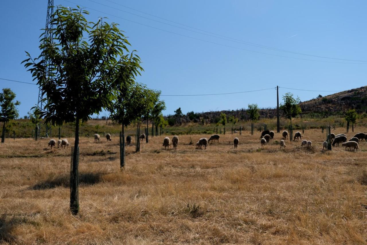 فيلا Quinta Do Chaozinho Alijó المظهر الخارجي الصورة