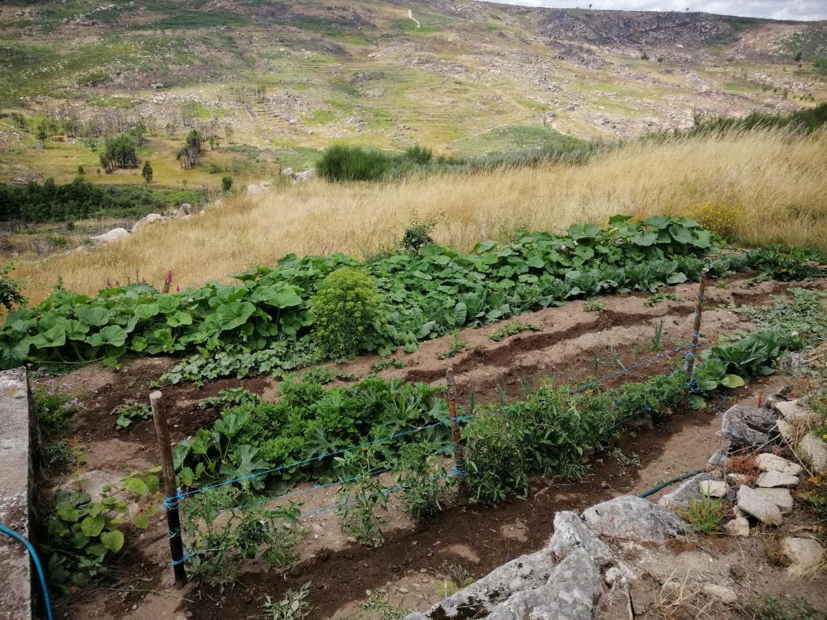 فيلا Quinta Do Chaozinho Alijó المظهر الخارجي الصورة